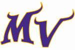 Minnesota Vikings 2004 - Pres DIY iron on stickers (heat transfer)